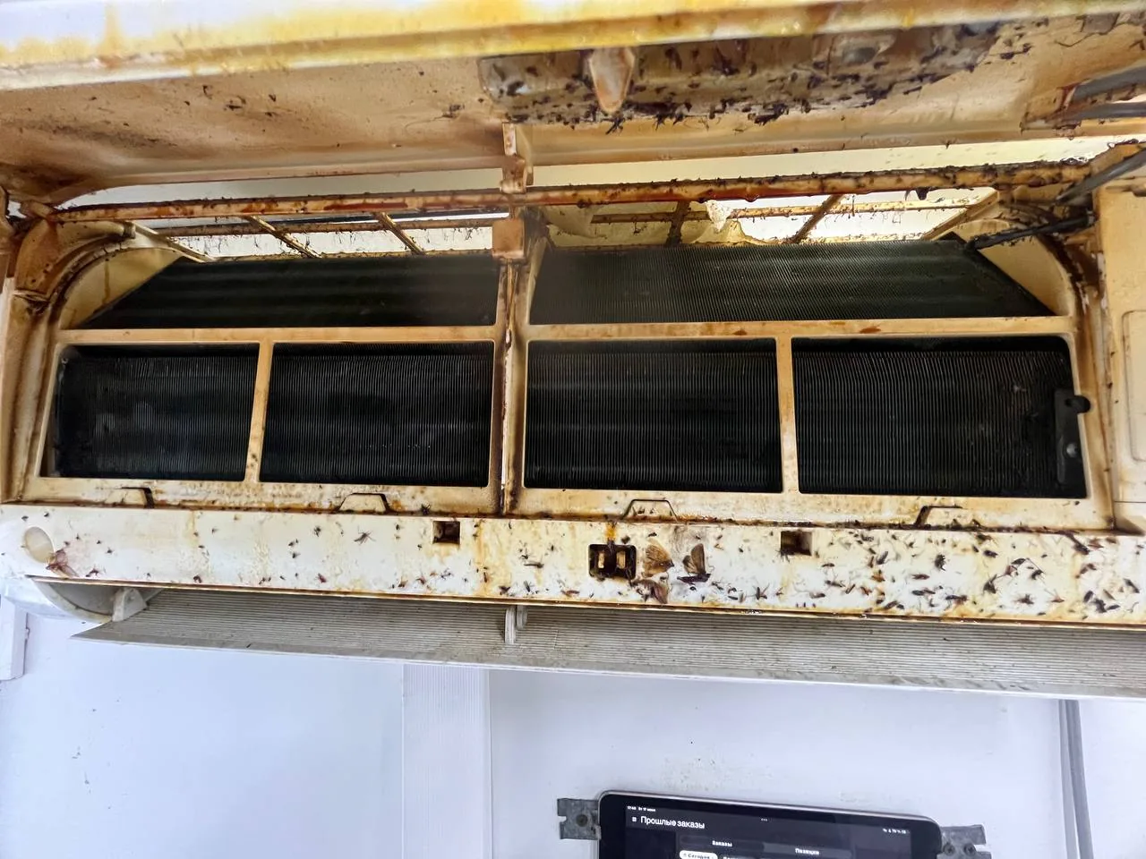 Документ или отчет, связанный с услугами по кондиционированию при ремонте в ОАЭ